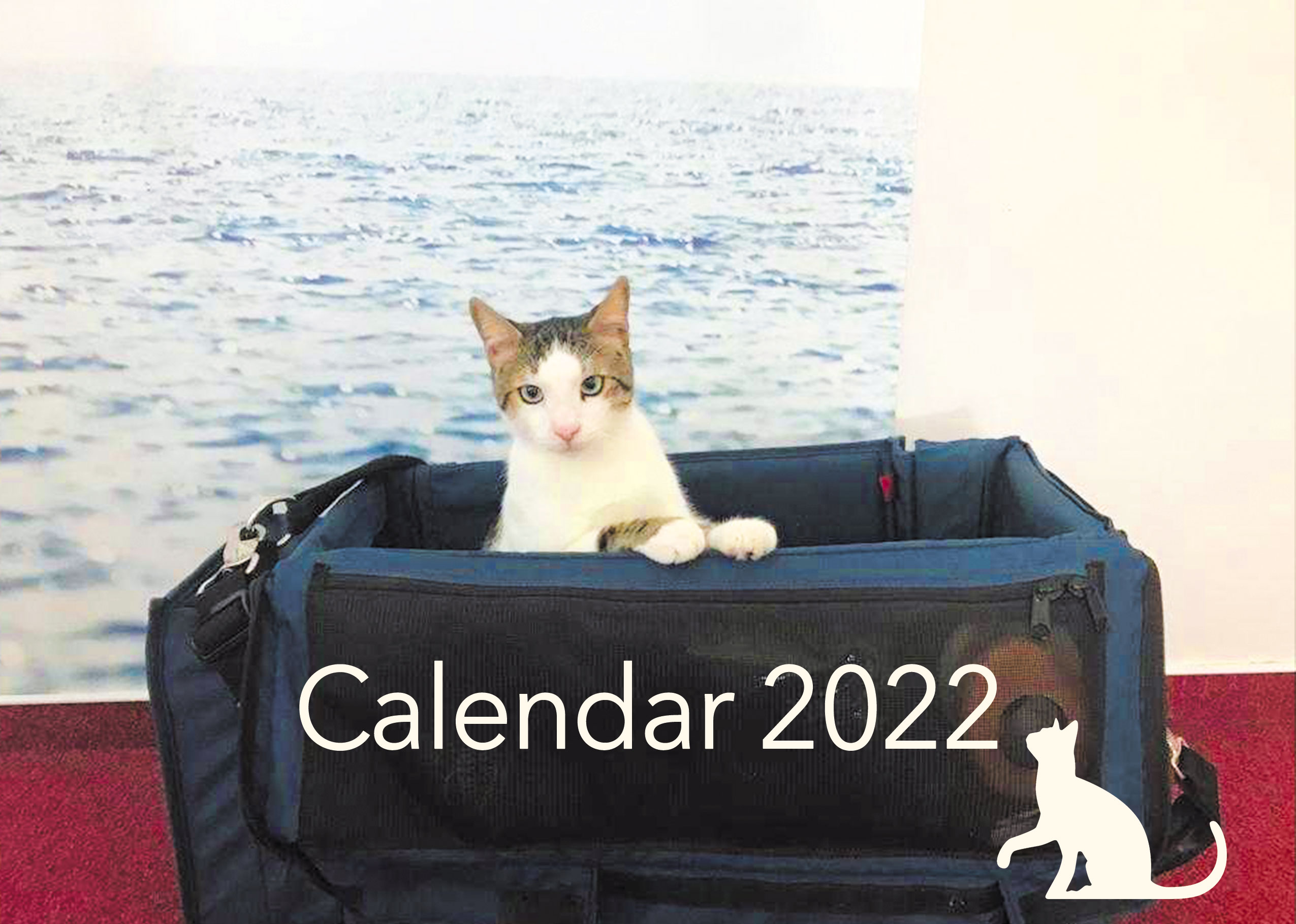 Calendarul lui Sam – 2022