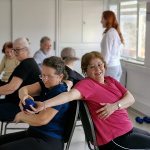 8 clase de mișcare cu execuție pe scaun