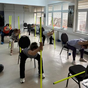 4 clase de mișcare cu execuție pe scaun - Online